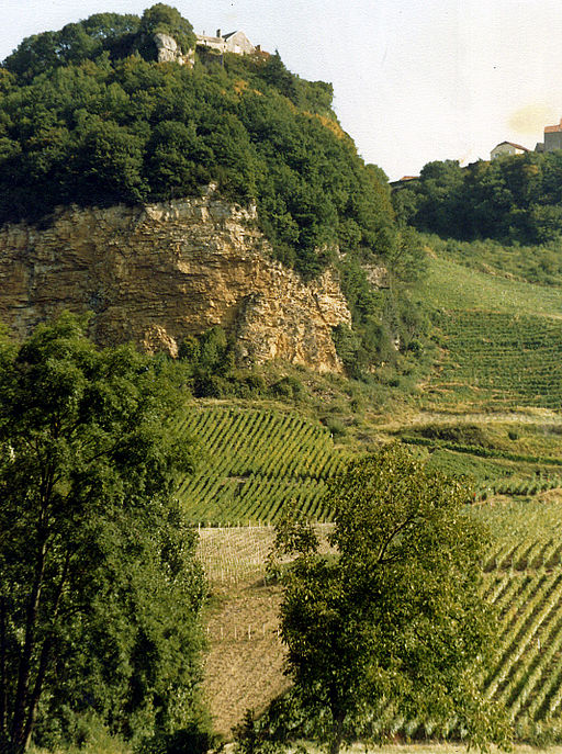 VIGNOBLES JURASSIENS